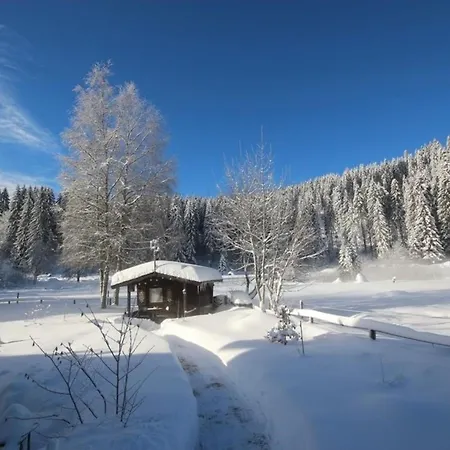 Seewald- 3 Tanne, Schluchsee, Blasiwald Schluchsee