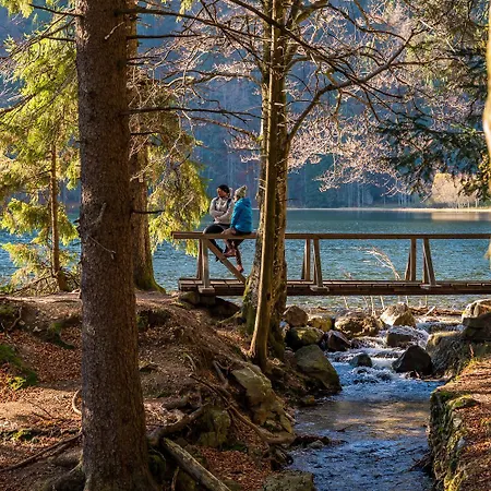 Seewald- 3 Tanne, Schluchsee, Blasiwald