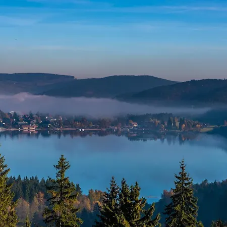 Seewald- 3 Tanne, Schluchsee, Blasiwald Apartment Schluchsee