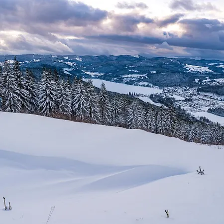 Seewald- 3 Tanne, Schluchsee, Blasiwald Schluchsee