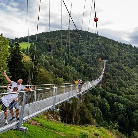 Apartment Seewald- 3 Tanne, Schluchsee, Blasiwald Schluchsee