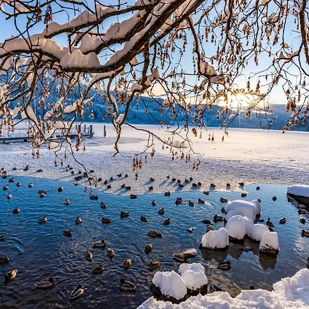 Seewald- 3 Tanne, Schluchsee, Blasiwald Apartment *