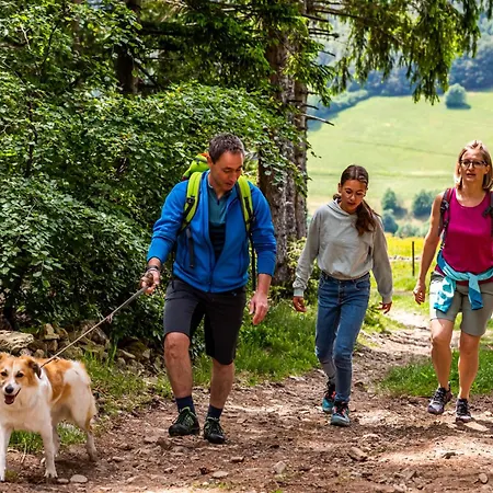 Seewald- 3 Tanne, Schluchsee, Blasiwald Apartment